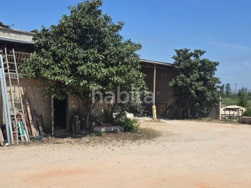 Terreno para Venda em Alfarelos