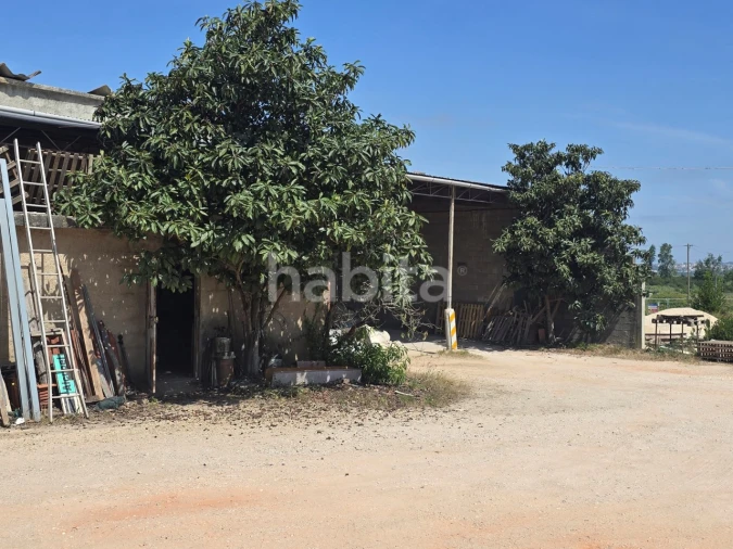 Terreno para Venda em Alfarelos Foto 5