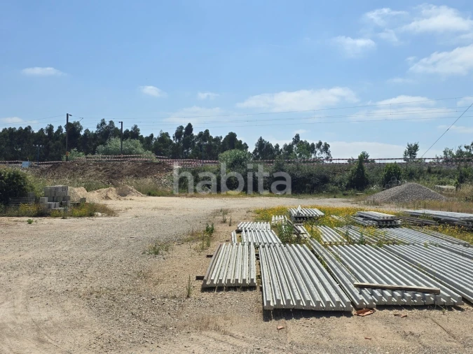 Terreno para Venda em Alfarelos Foto 7