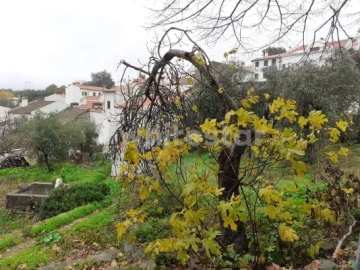 Moradia T5 para Venda em Ribeira de Nisa e Carreiras