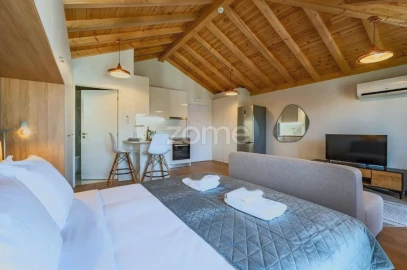 Apartamento T1 para Venda em Cedofeita, Santo Ildefonso, Sé, Miragaia, São Nicolau e Vitória