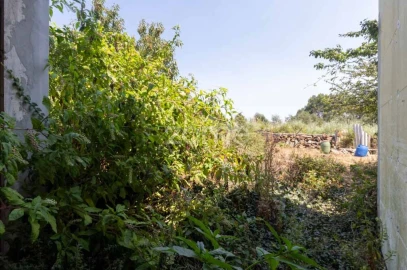 Moradia T2 para Venda em Moreira