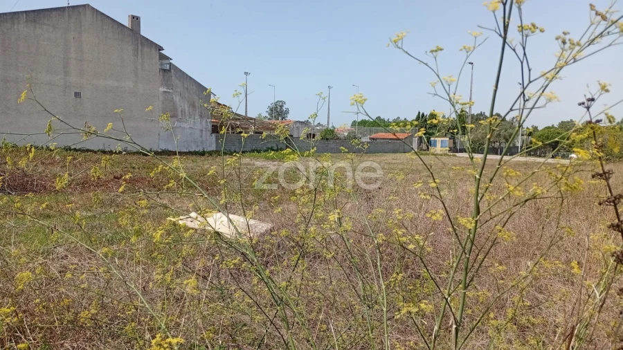 Terreno para Venda em Alhadas