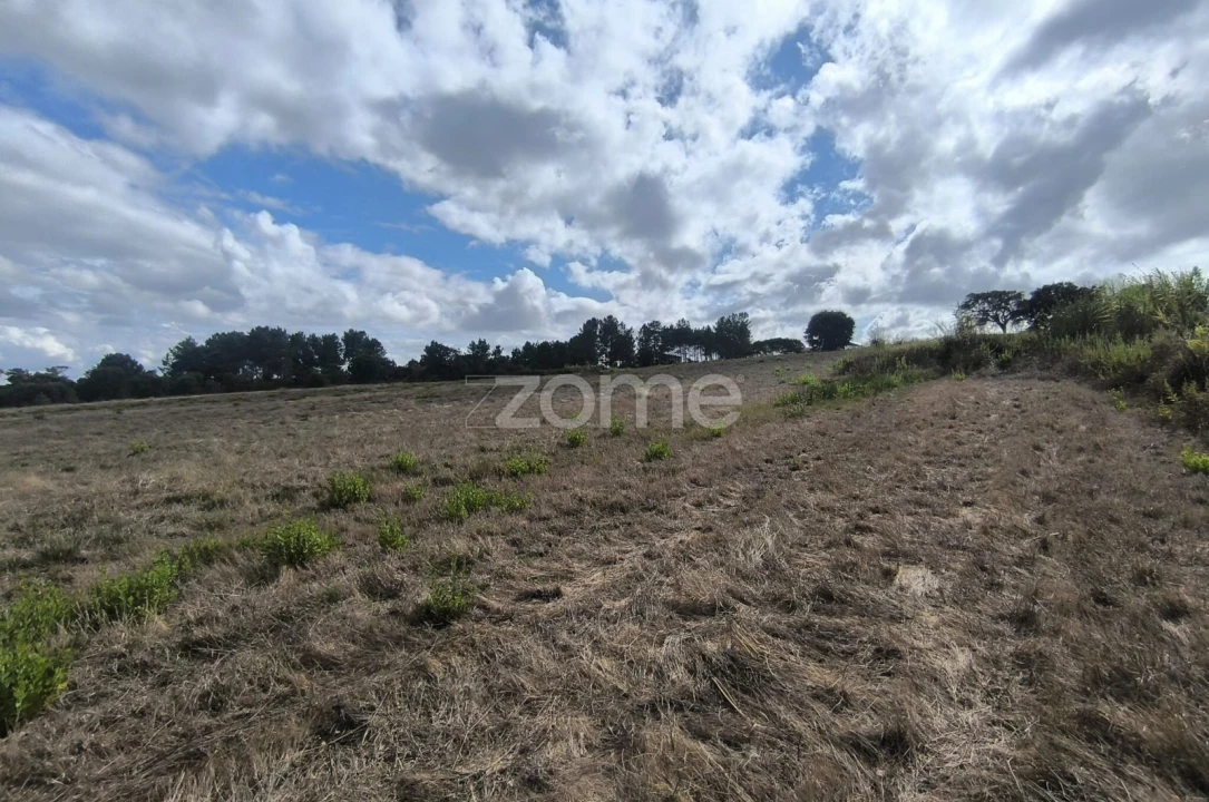 Terreno para Venda em Pontevel Foto 12