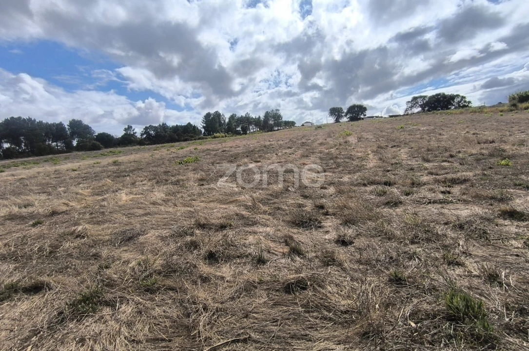Terreno para Venda em Pontevel Foto 3