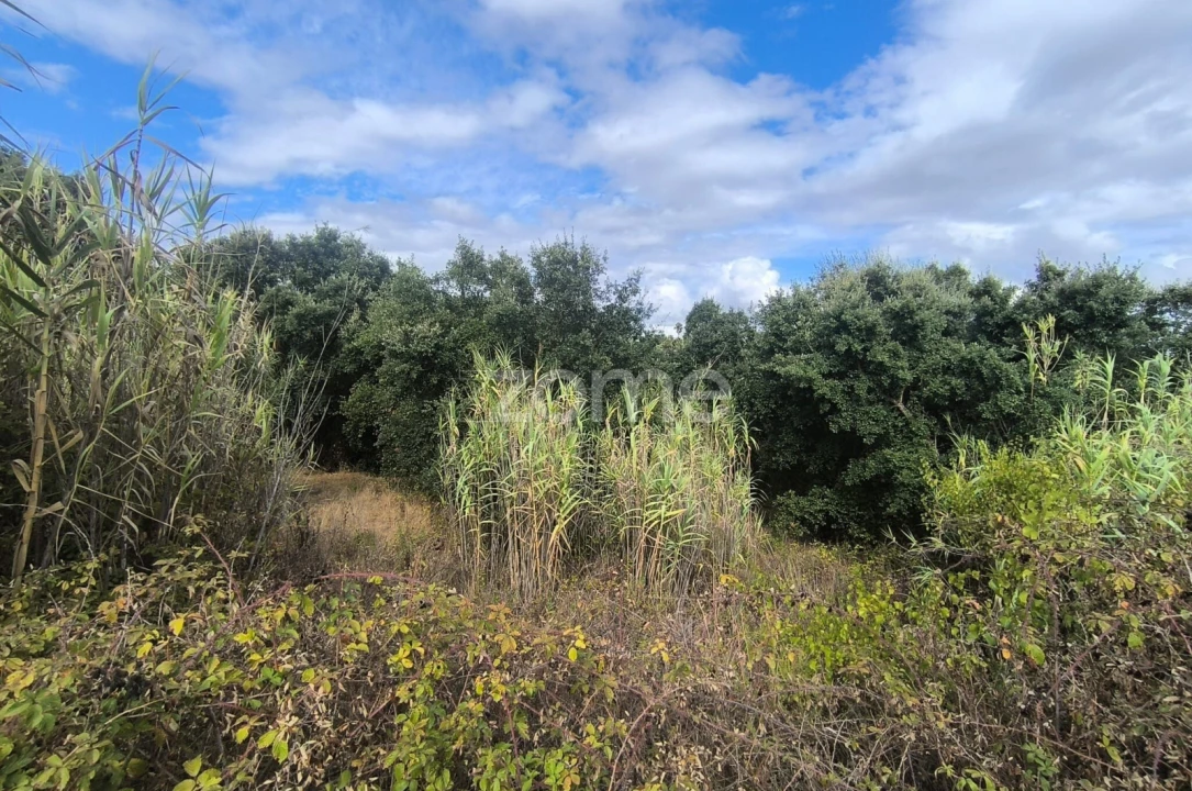 Terreno para Venda em Pontevel Foto 13