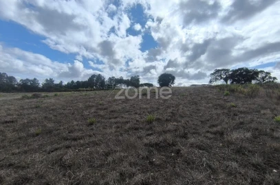 Terreno para Venda em Pontevel