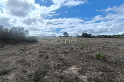 Terreno para Venda em Pontevel