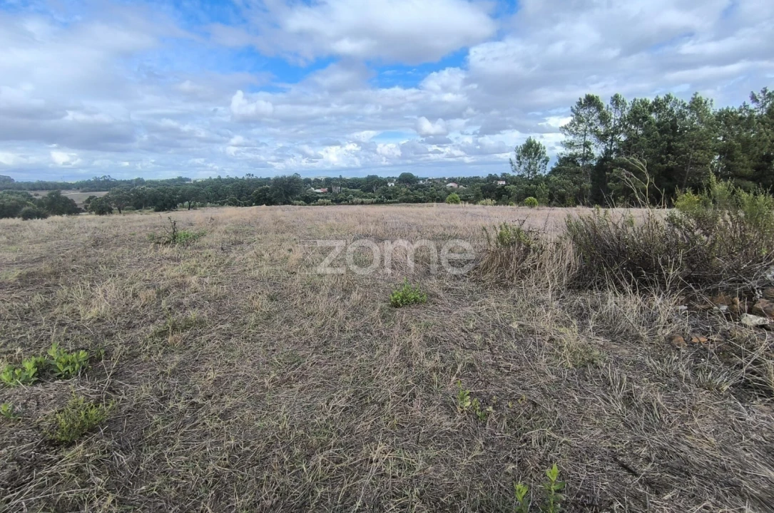 Terreno para Venda em Pontevel Foto 4