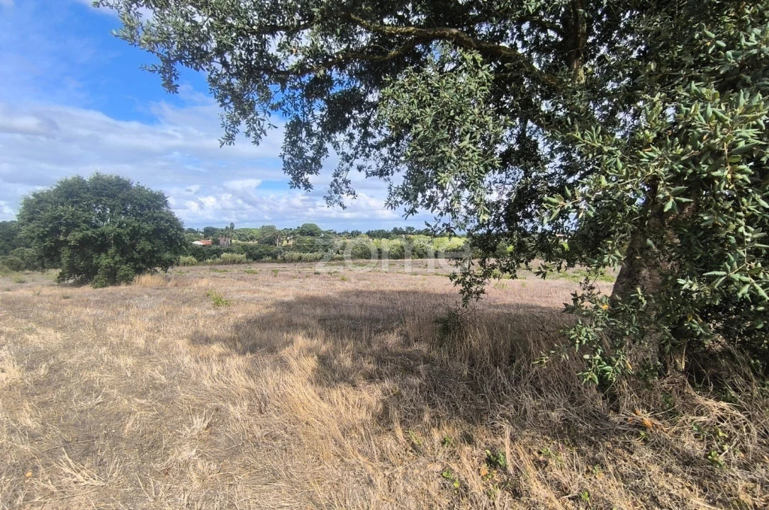 Terreno para Venda em Pontevel Foto 5