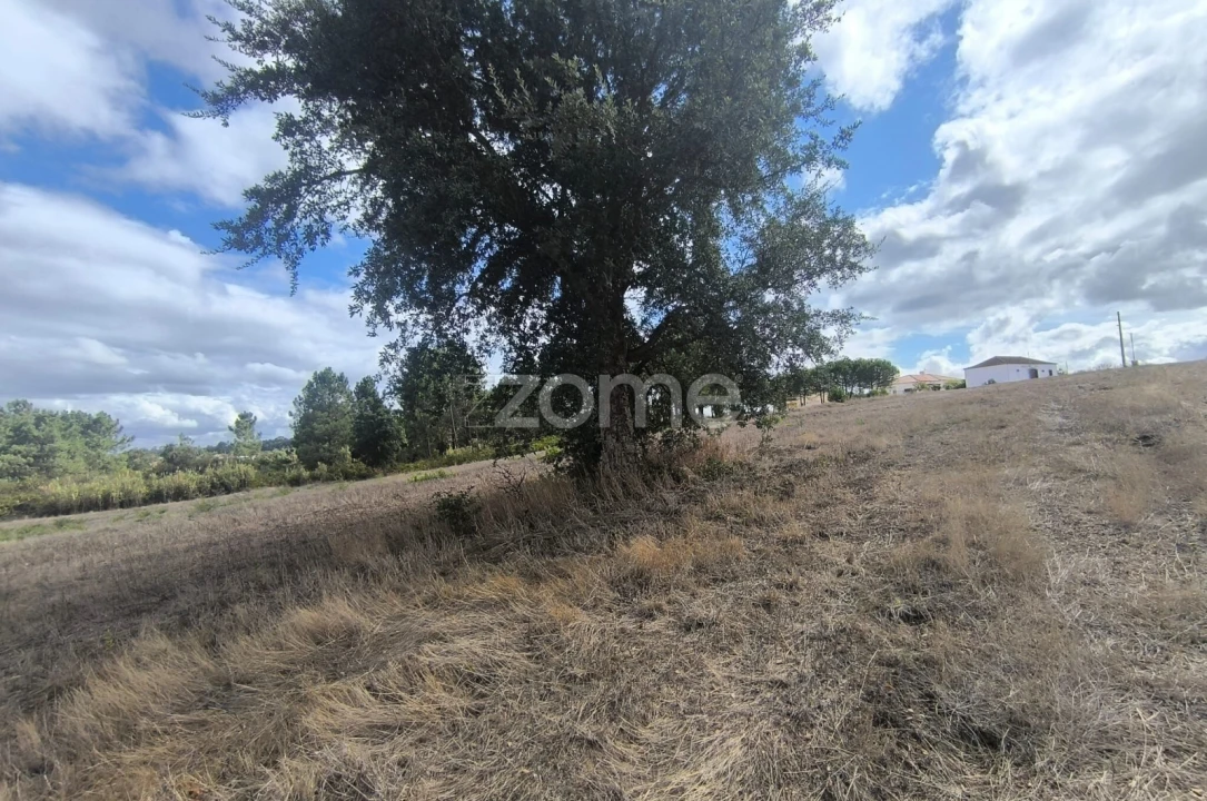 Terreno para Venda em Pontevel Foto 6