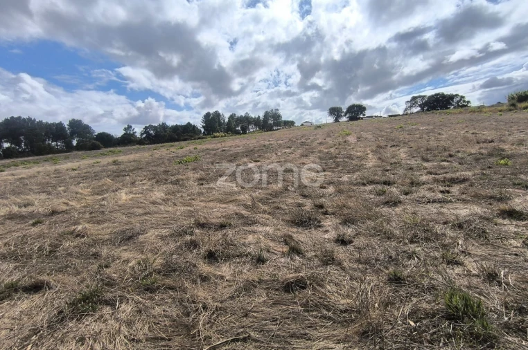 Terreno para Venda em Pontevel Foto 3