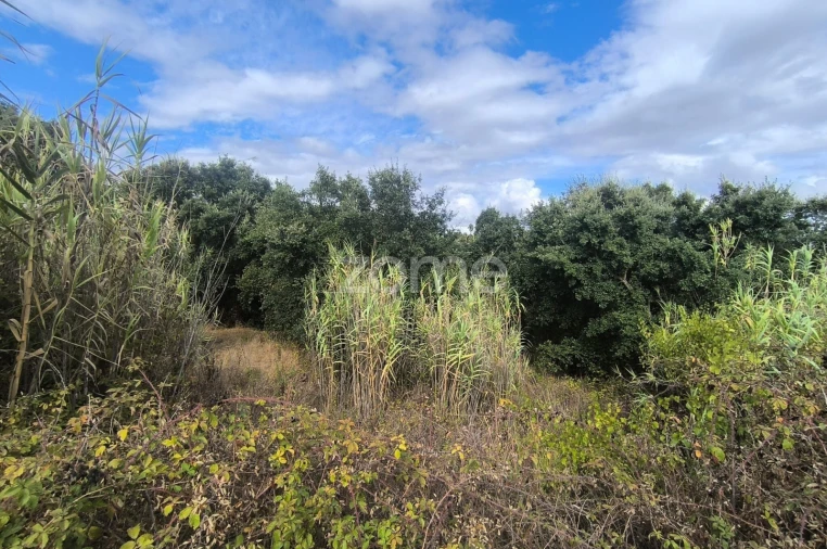 Terreno para Venda em Pontevel Foto 13