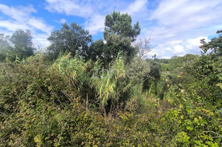 Terreno para Venda em Pontevel Foto 15
