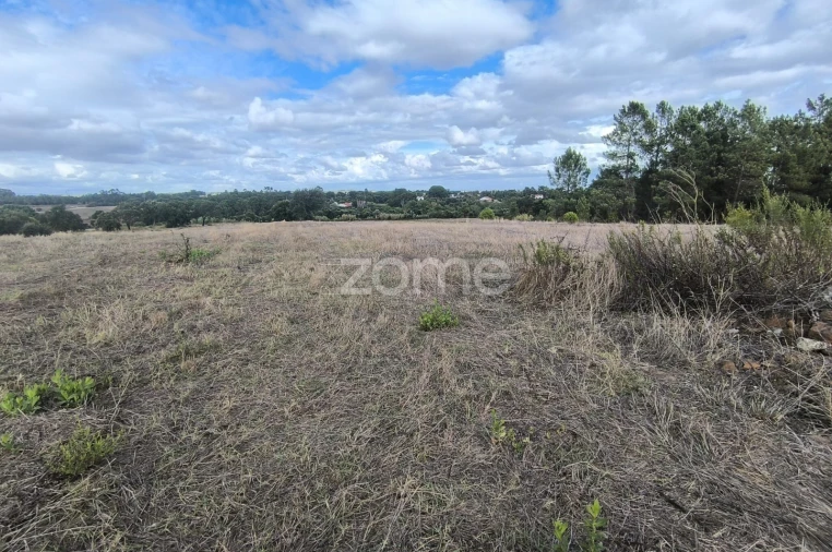 Terreno para Venda em Pontevel Foto 4
