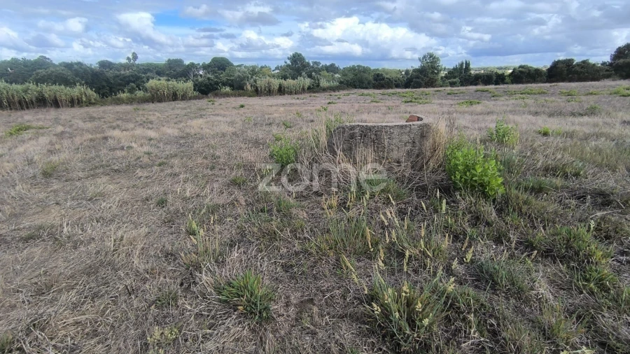 Terreno para Venda em Pontevel