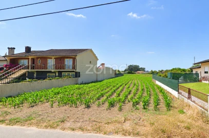 Terreno para Venda em Murtosa