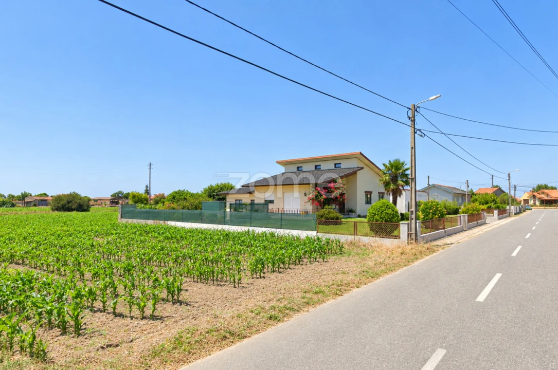 Terreno para Venda em Murtosa Foto 2