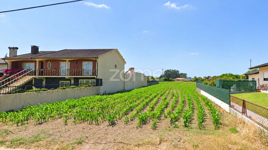 Terreno para Venda em Murtosa