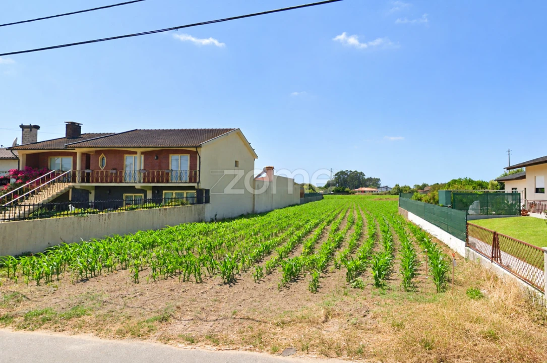Terreno para Venda em Murtosa Foto 1