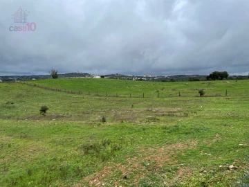 Quinta T5 para Venda em Gloria