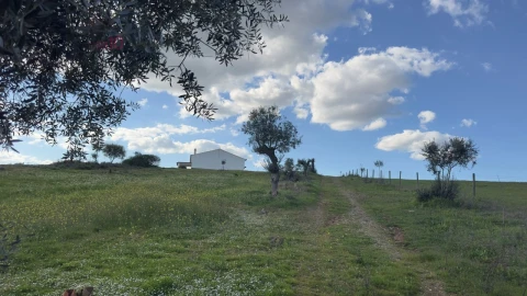 Quinta T5 para Venda em Gloria
