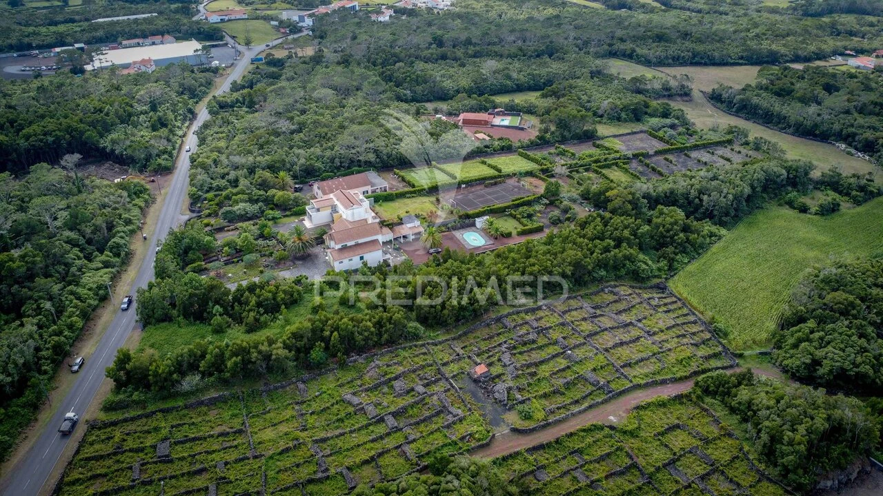 Terreno para Venda em Madalena Foto 1