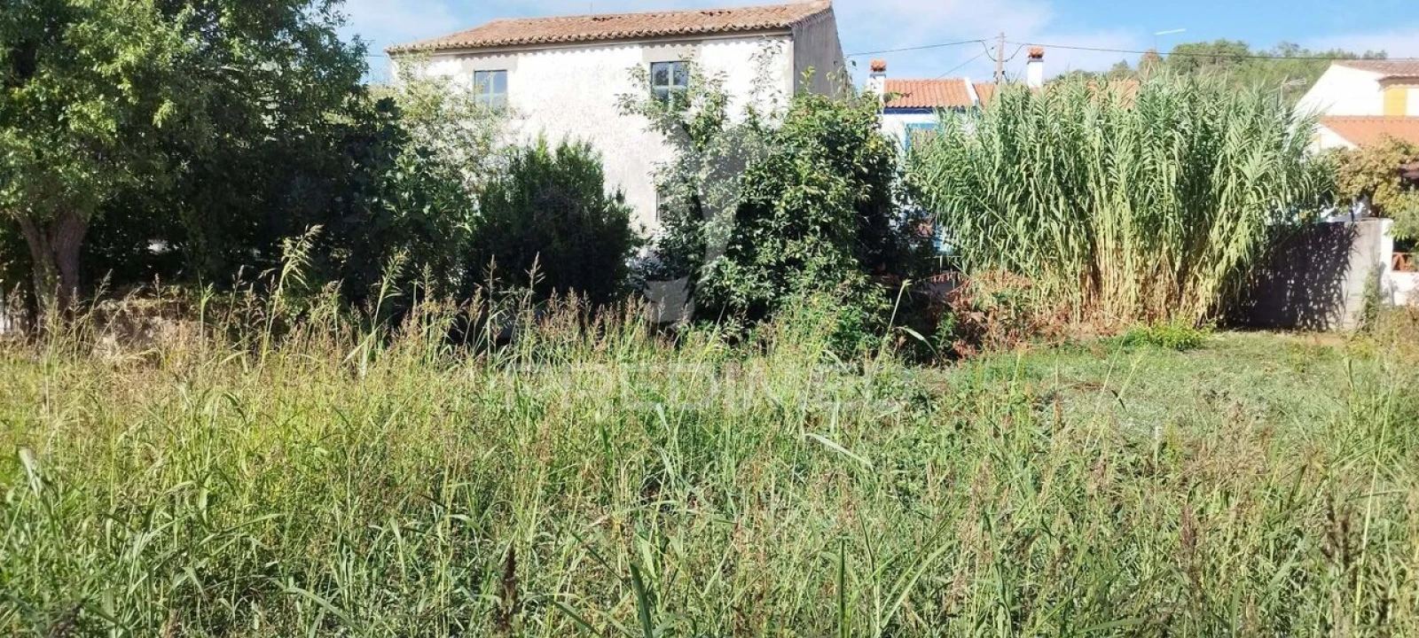 Moradia T3 para Venda em São Salvador da Aramenha Foto 1