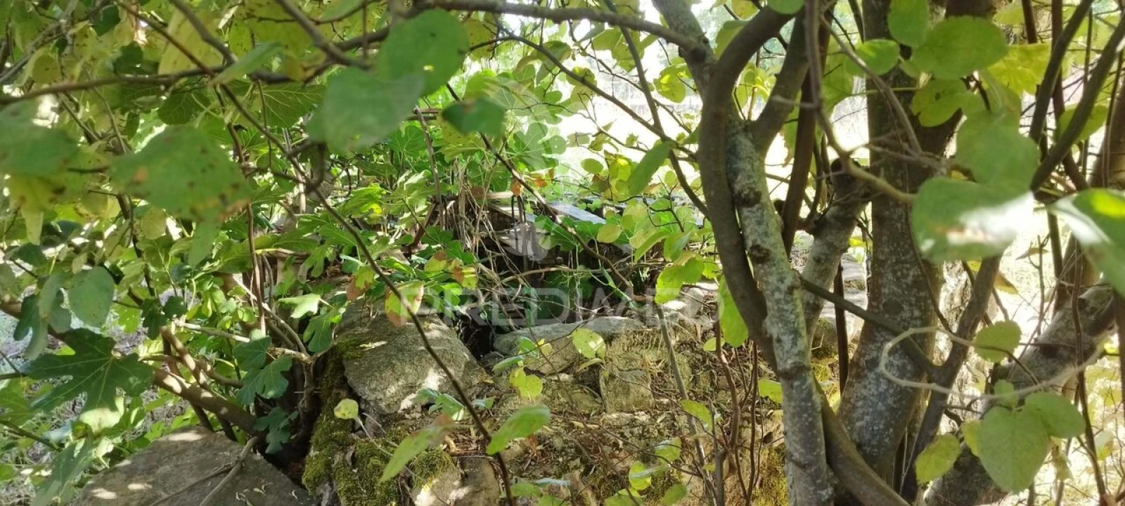 Moradia T3 para Venda em São Salvador da Aramenha Foto 11