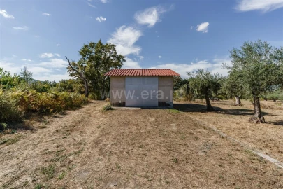 Quinta T0 para Venda em Fundão, Valverde, Donas, A. Joanes, A. Nova Cabo