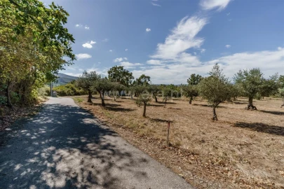 Quinta T0 para Venda em Fundão, Valverde, Donas, A. Joanes, A. Nova Cabo