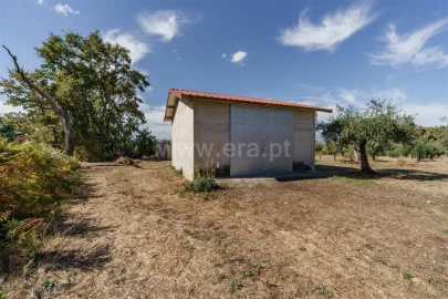 Quinta T0 para Venda em Fundão, Valverde, Donas, A. Joanes, A. Nova Cabo