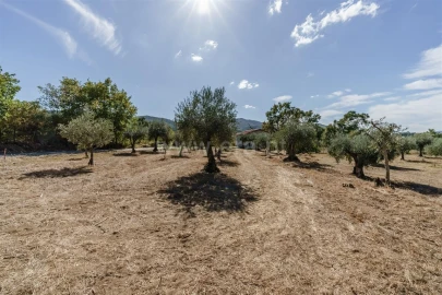 Quinta T0 para Venda em Fundão, Valverde, Donas, A. Joanes, A. Nova Cabo