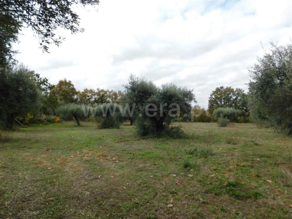 Quinta T0 para Venda em Fundão, Valverde, Donas, A. Joanes, A. Nova Cabo Foto 4