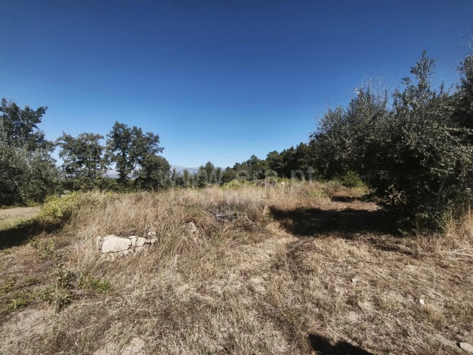 Quinta T0 para Venda em Fundão, Valverde, Donas, A. Joanes, A. Nova Cabo Foto 4