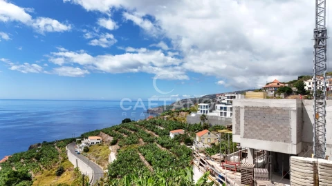 Moradia T4 para Venda em Ribeira Brava
