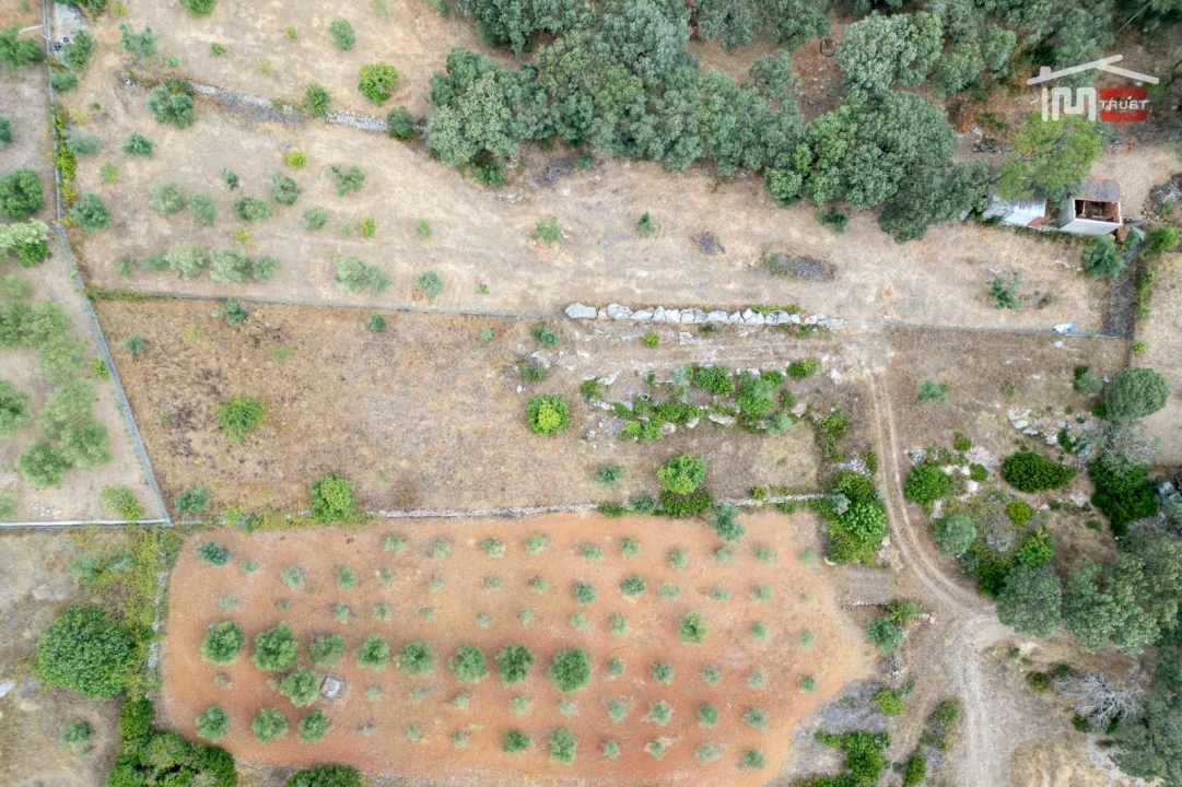 Terreno Misto para Venda em Nossa Senhora das Misericordias Foto 11