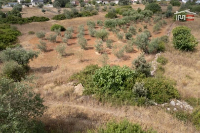 Terreno Misto para Venda em Nossa Senhora das Misericordias