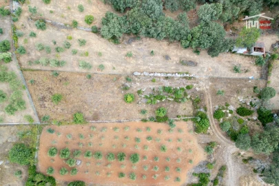 Terreno Misto para Venda em Nossa Senhora das Misericordias