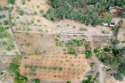 Terreno Misto para Venda em Nossa Senhora das Misericordias