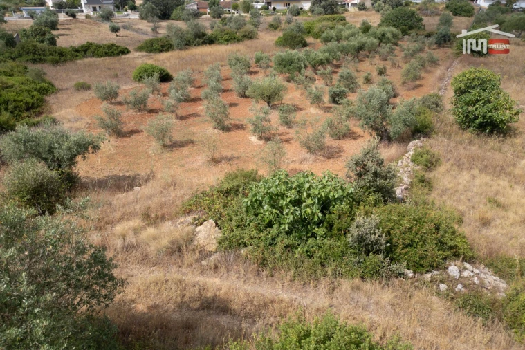 Terreno Misto para Venda em Nossa Senhora das Misericordias Foto 6