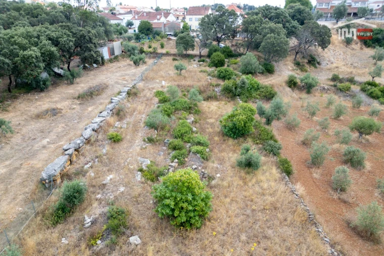 Terreno Misto para Venda em Nossa Senhora das Misericordias Foto 13
