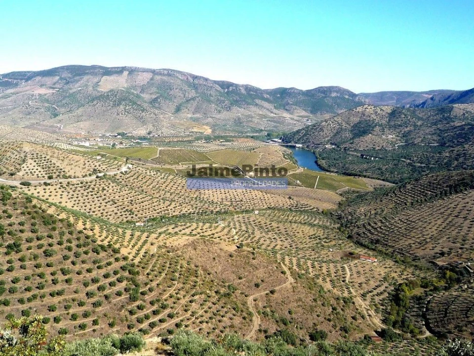 Terreno Agricola ou Rústico para Venda em Escalhão Foto 3