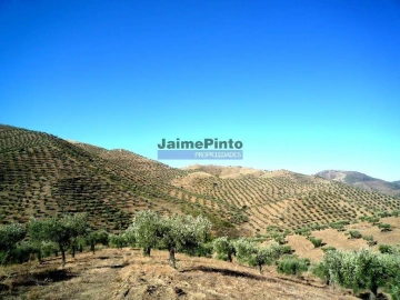 Terreno Agricola ou Rústico para Venda em Escalhão