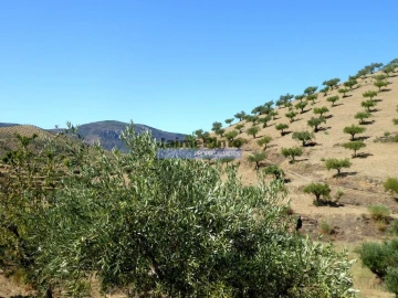Terreno Agricola ou Rústico para Venda em Escalhão