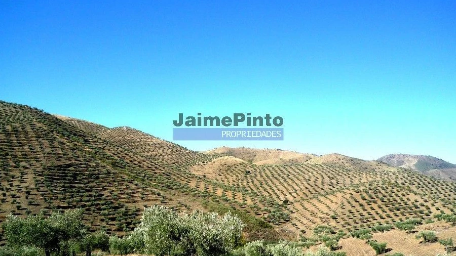 Terreno Agricola ou Rústico para Venda em Escalhão