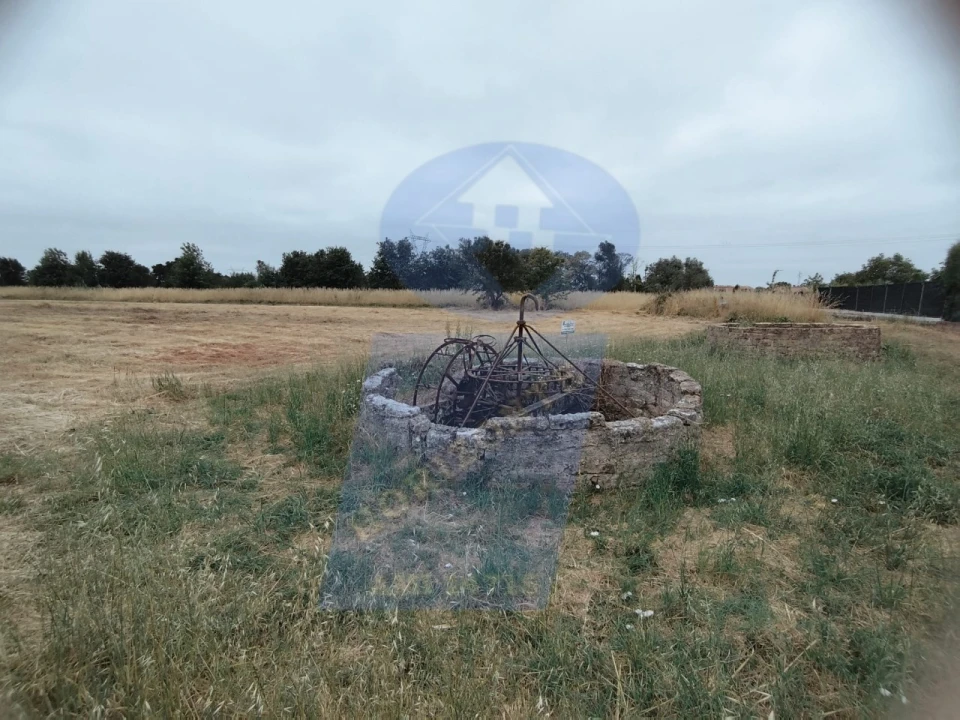 Terreno para Venda em Bustos, Troviscal e Mamarrosa Foto 5