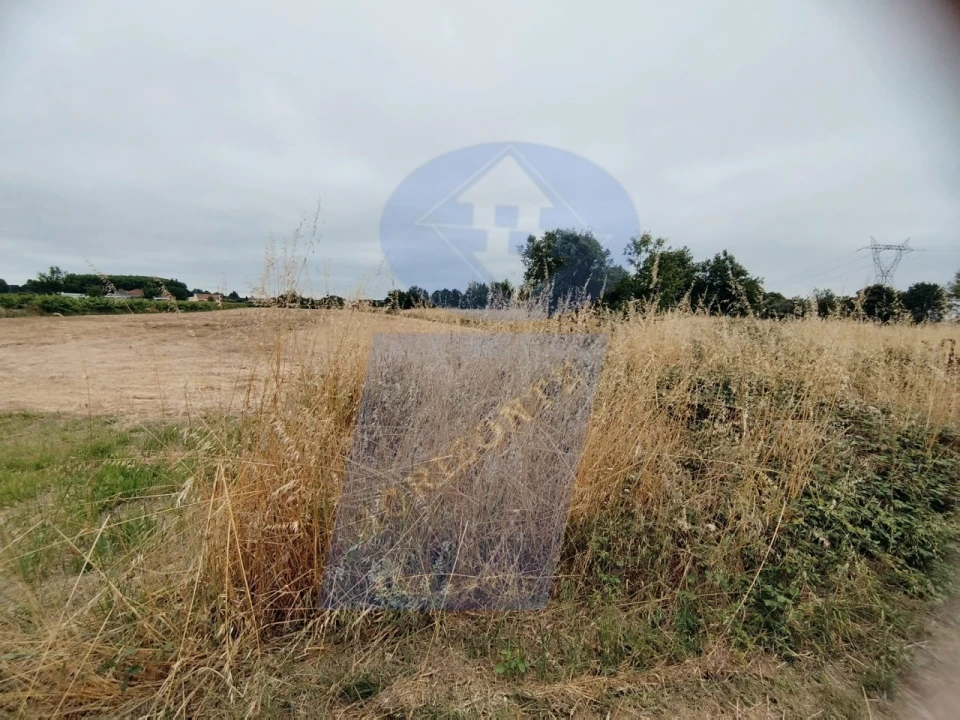 Terreno para Venda em Bustos, Troviscal e Mamarrosa Foto 6