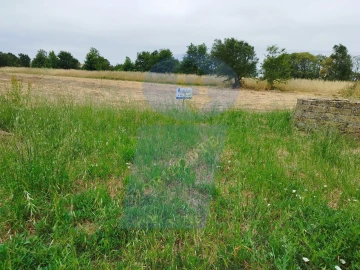 Terreno para Venda em Bustos, Troviscal e Mamarrosa