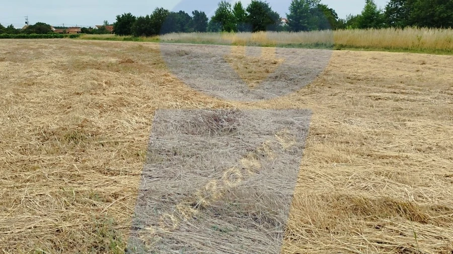 Terreno para Venda em Bustos, Troviscal e Mamarrosa